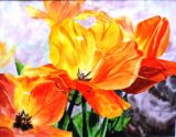 48 - Mary Vivian - Sunlit Tulips - Watercolour.jpg